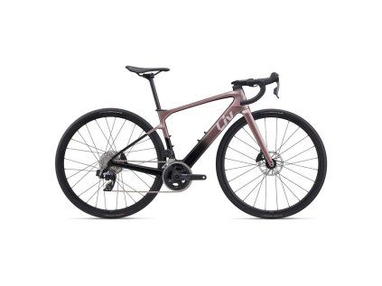 LIV Avail Advanced E+ Elite 2 (Barva Iron Rouge/Carbon Smoke, Velikost S)