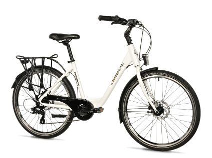 Leader Fox DOMESTA  26" 2025