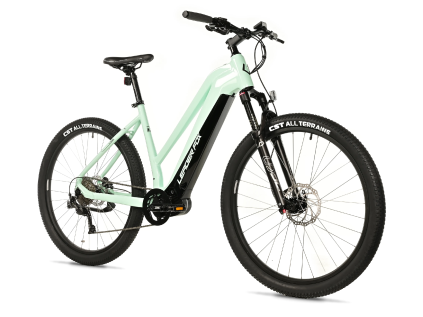 Leader Fox SWAN dámský 29" 20Ah 2025