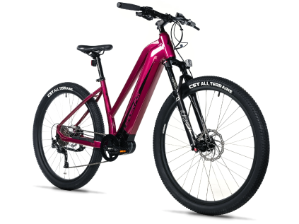 Leader Fox SWAN dámský 29" 20Ah 2025