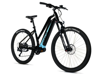 Leader Fox SWAN dámský 29" 20Ah 2025