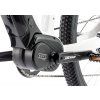 Leader Fox SWAN dámské 29" 15 Ah 2023 (Velikost 20", Barva bílá černá)