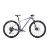 CTM RASCAL 1.0 29" 2025 (Barva lesklá šedá / matná černá, Velikost L / 175-185 cm)