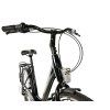 Leader Fox DOMESTA  26" 2025