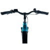 Leader Fox TERTIUM 15Ah/540Wh 2025 (Barva BLUE LIGHT, Velikost 20")
