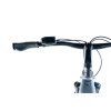 Leader Fox SANDY GENT 28" 20 Ah (720 Wh) 2024 (Barva GREY MATT, Velikost 17,5")