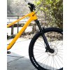 norco optic c3 29 golden larch yellow 3 o