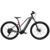 APACHE Wakita 3 MX 720 Wh 29" (Barva antracit magenta, Velikost S)