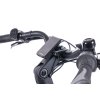 LEVIT BELECO 3 lowstep 540 Wh (15 Ah) (Barva Champagne, Velikost rámu 60)