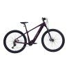 LECTRON Esconder AX 29" 2027 (Barva Plum, Velikost M)